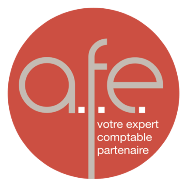 AFE (Audit Finance Expert)